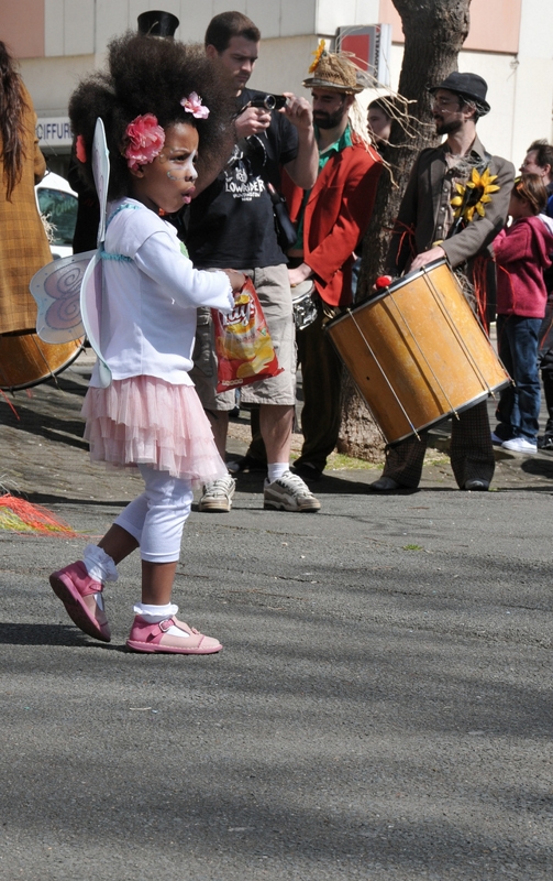 Evry Daily Photo - Carnaval Evry 2010 226 - large.jpg